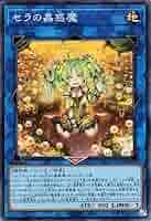 遊戯王の日　蟲惑魔 Amazon.co.jp: 遊戯王 LVP2-JP061 セラの蟲惑魔 (日本語版